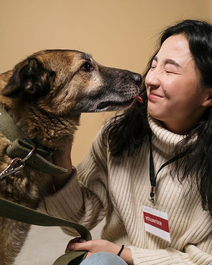 Volunteer At An Animal Sanctuary