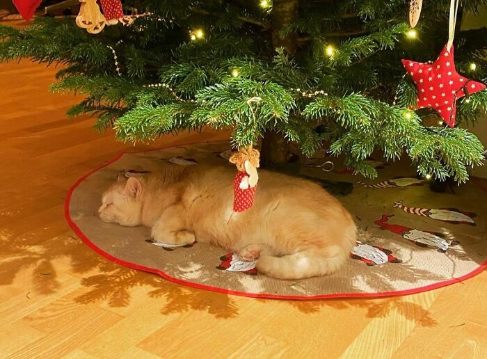 Finally Enough Space For Me