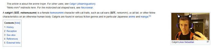 Someone Replaced The Image On The Catgirls Article With Linus