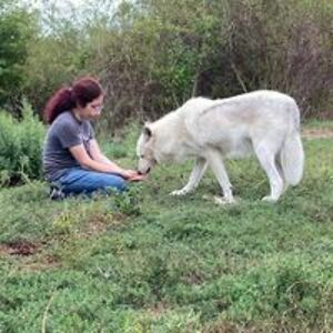 casey_m_hardiman avatar