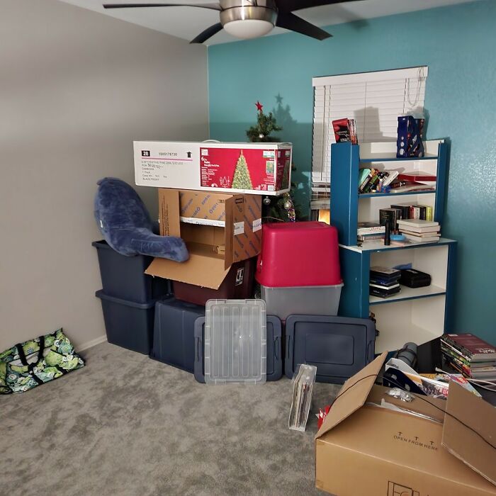 My Sister Thought This Was A Good Way To Stop Her Cat From Destroying The Christmas Tree