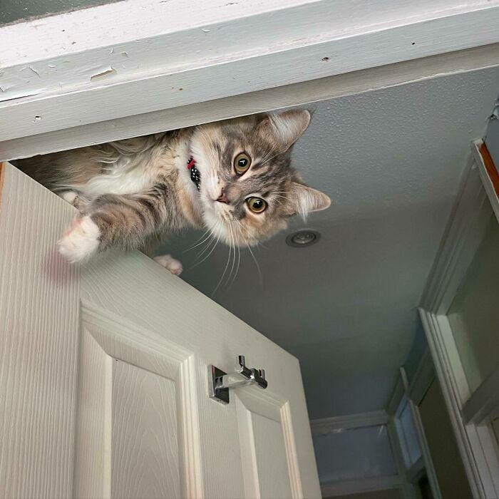 She Really Is A Menace