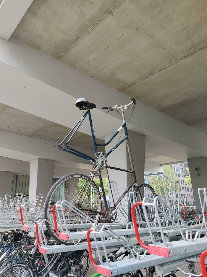 This Monstrosity At My University