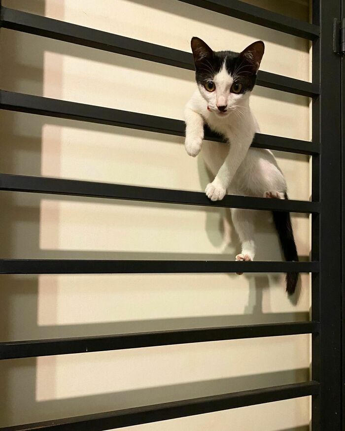 Fear Of Heights? What’s That