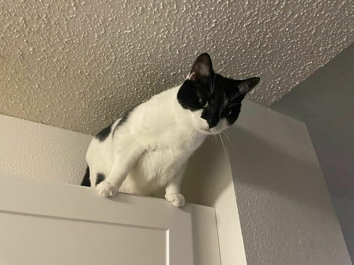 Climbing Is As Close As We Can Come To Flying