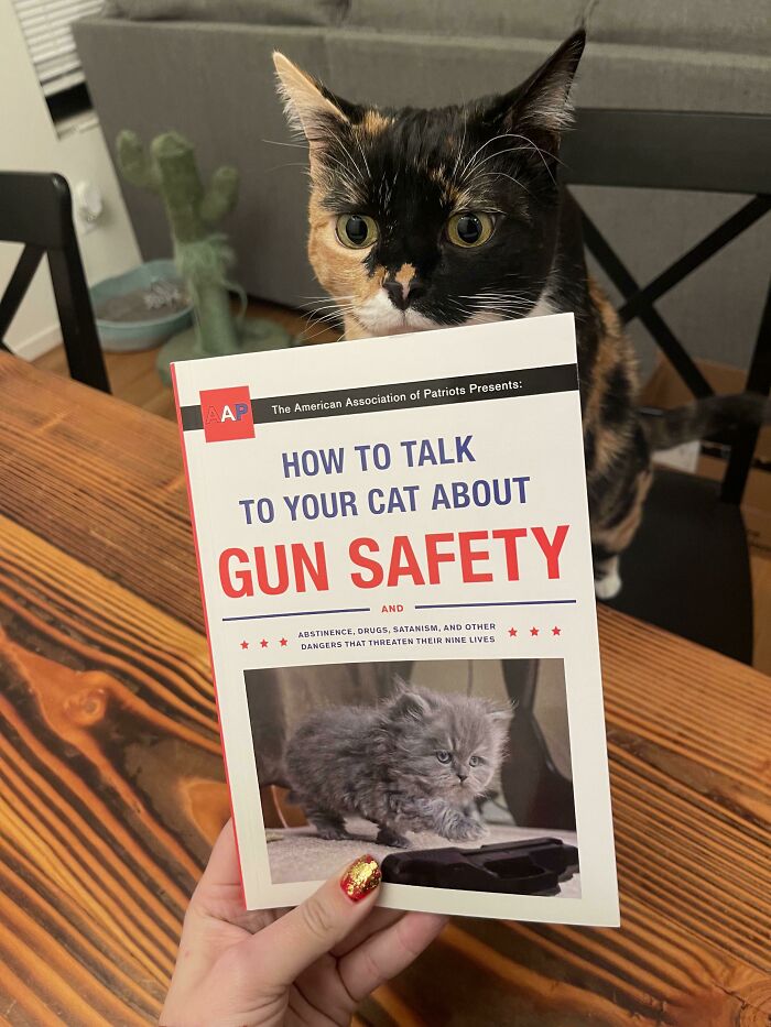 Cat humor: A person holds a humorous book titled "How to Talk to Your Cat About Gun Safety" with a curious cat in the background.