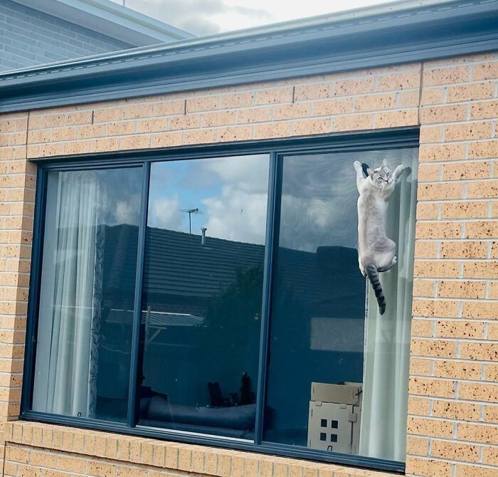 I Swear I Am Not Stuck!