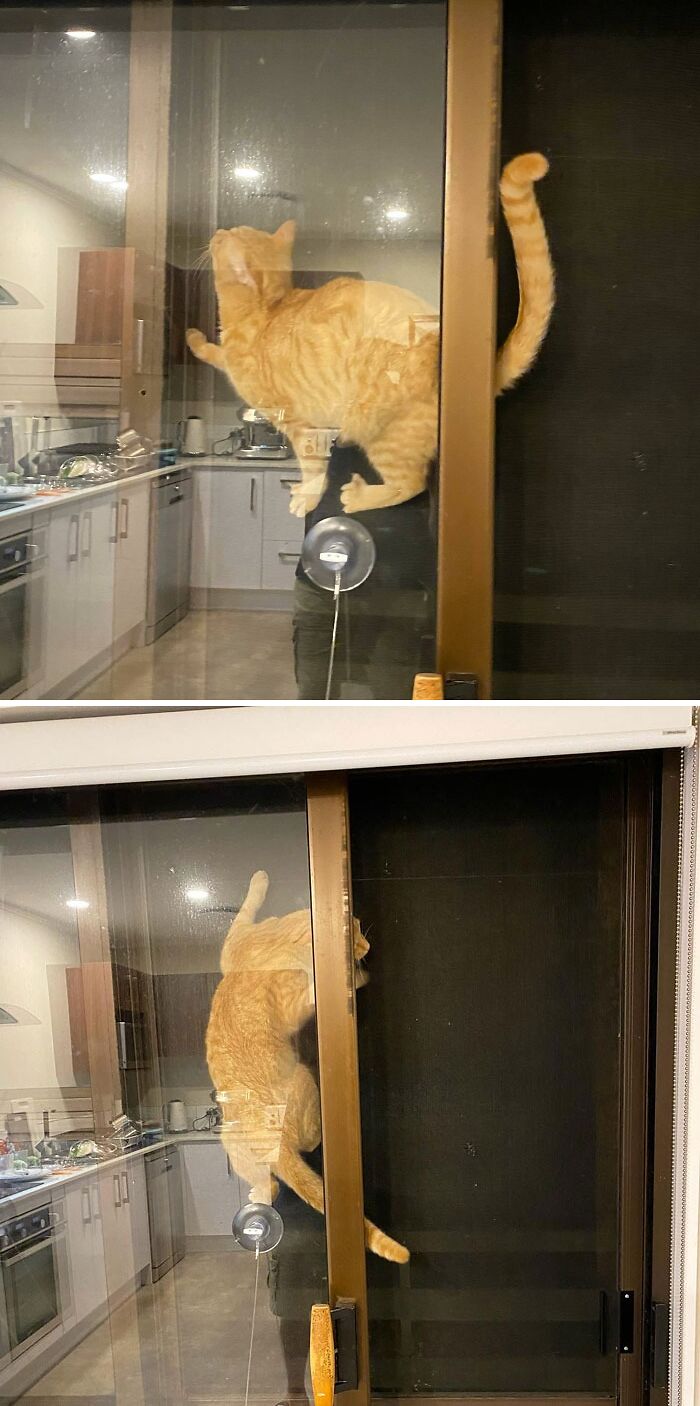 Mika’s Talent Show Defy Gravity 