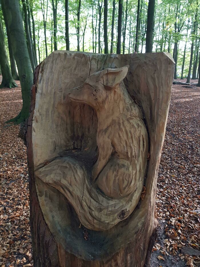 I Found This Carved Fox Inside A Tree Stump, In A Forest Close To My Home
