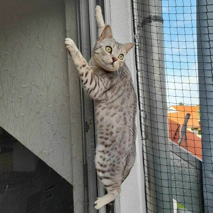 Happy Sunday To Everyone