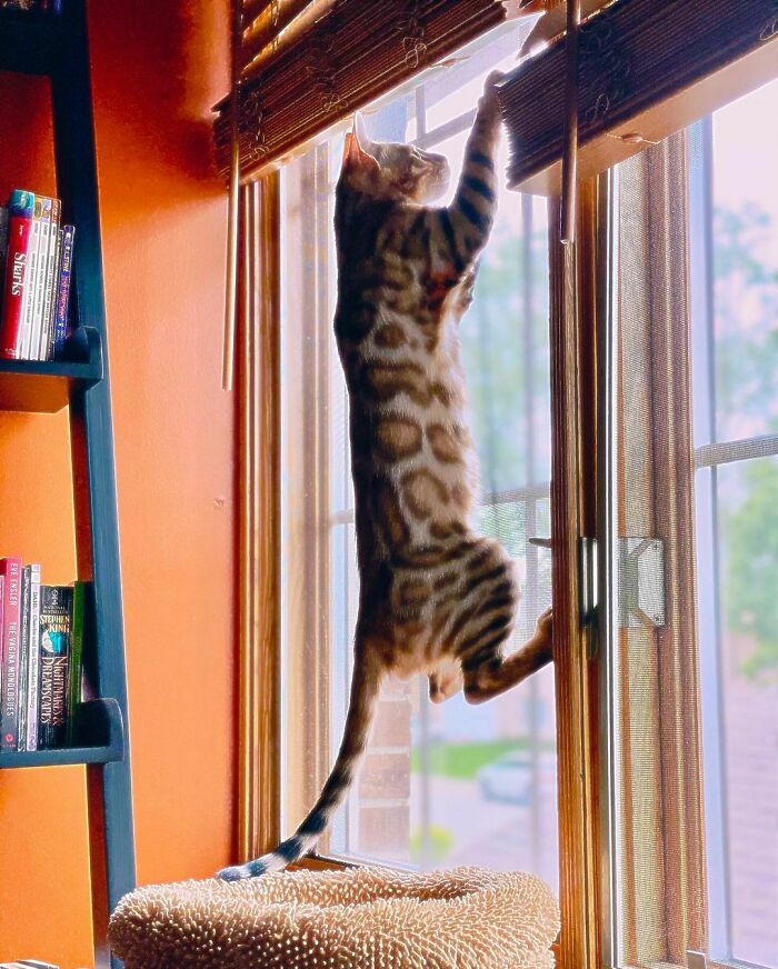 Don't Mind Me, Just Saw My First Fly Ever