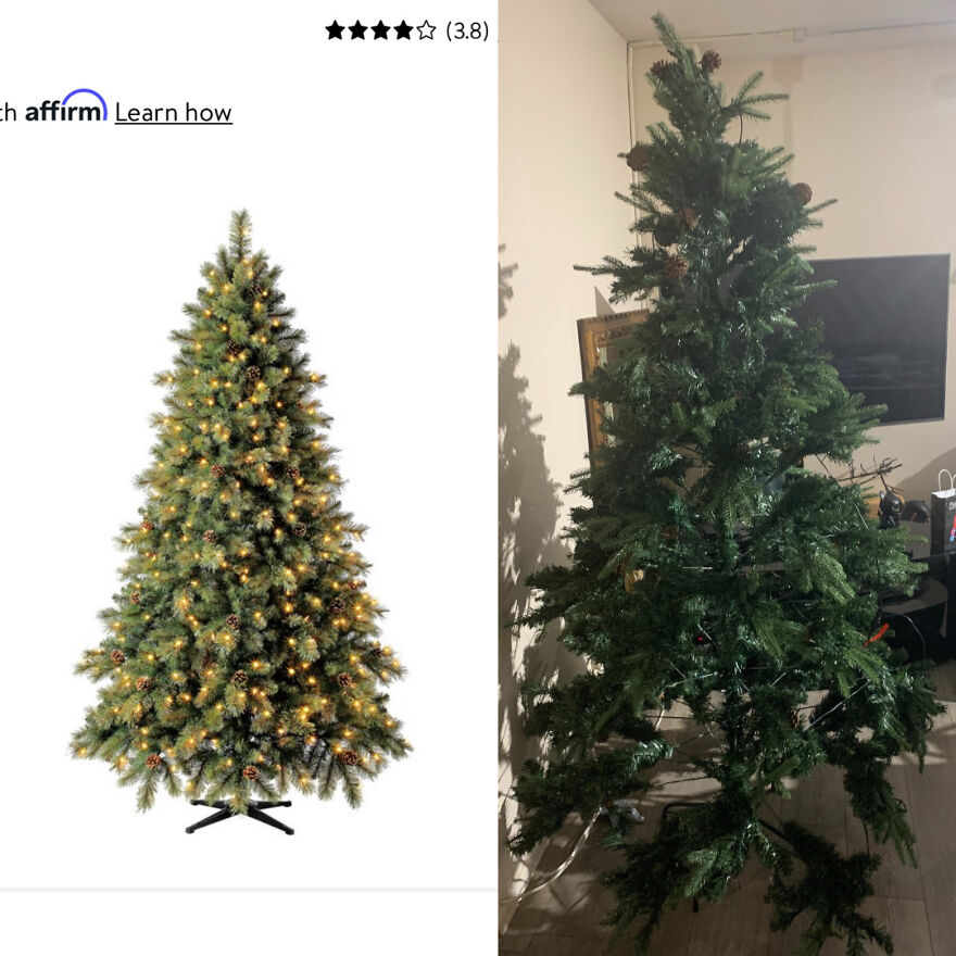 12 Christmas Trees You Wouldn&rsquo;t Want To Have In Your House