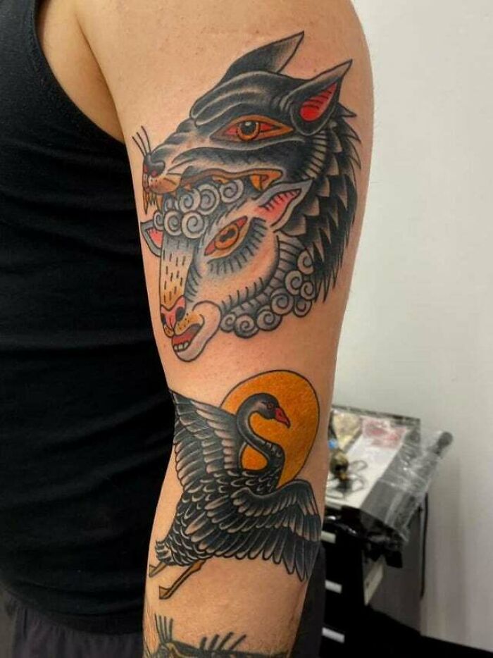 Arm tattoo of a sheep in wolf's clothing and a black swan, showcasing a trippy tattoo design.