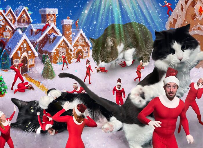 Cats in a winter scene with tiny people in red costumes, creating a humorous Christmas atmosphere.