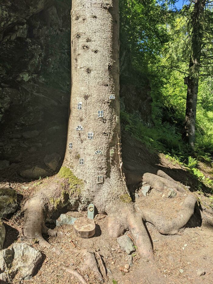 My Friend Found A Tiny Tree House In The Forest