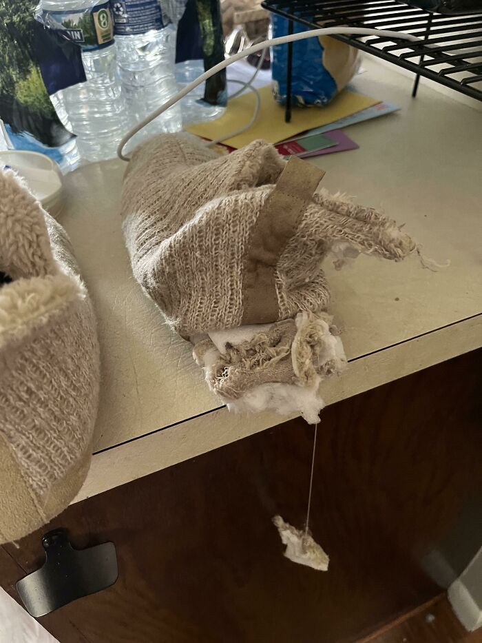 Asked My Husband To Crate The Dog When I Left. I Just Bought These Yesterday