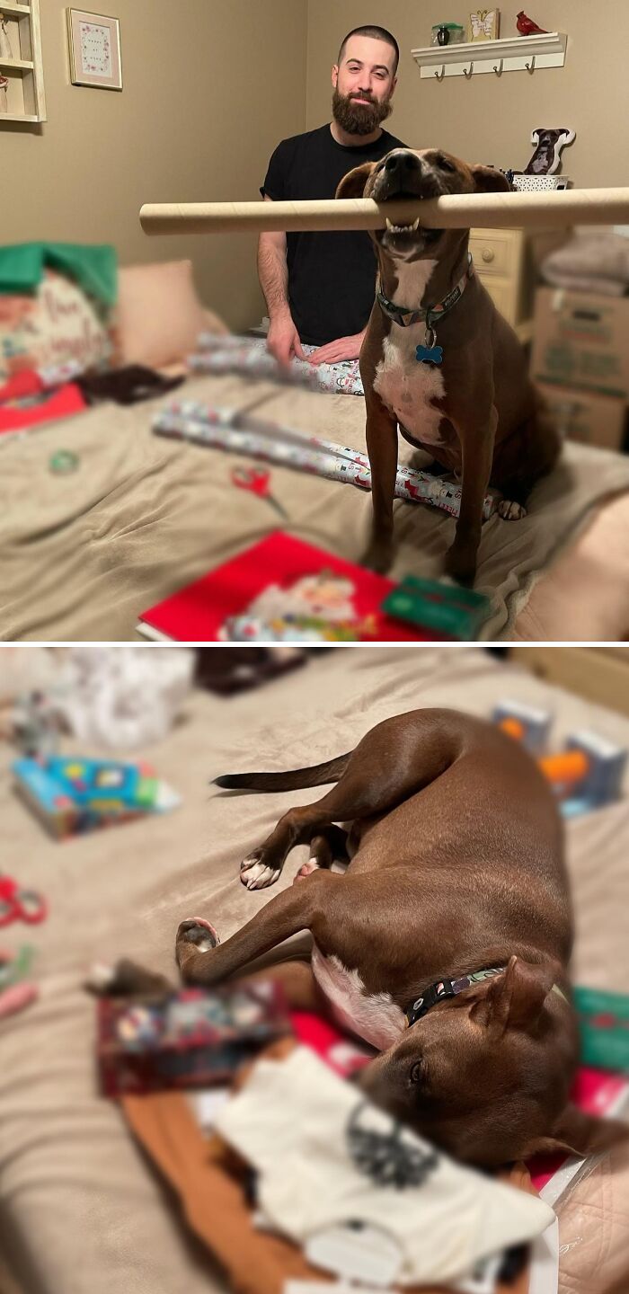 Santa Called And Needed Back Up!! I Came Here To Help!!