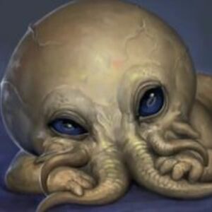 lovelywolfewraith avatar