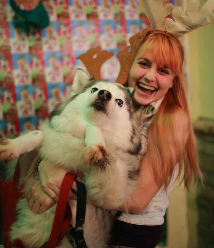 I Tried To Take A Cute Christmas Photo Holding My Dog