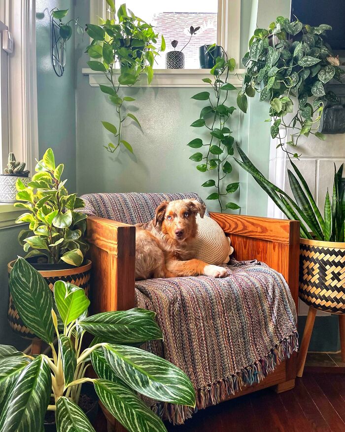 Bruce’s Reading Nook