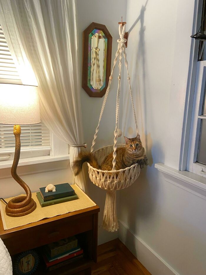 My Girl Ruby Enjoying Her New (Female) Living Space