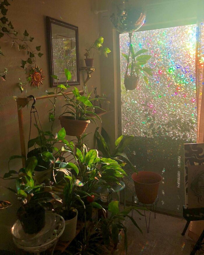 Morning Sunlight 🌞