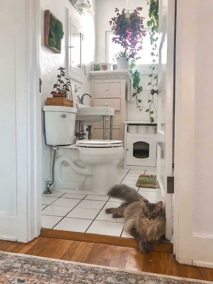 My Cozy Little Bathroom