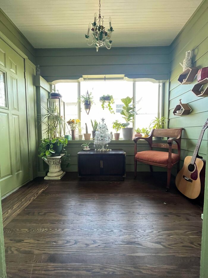 I Painted My Plant Room Green 💚