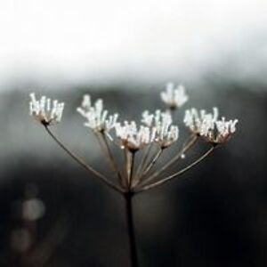 jennynaslund30 avatar