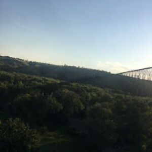 hannahhaimour avatar