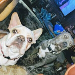 miguelgarcia_1 avatar