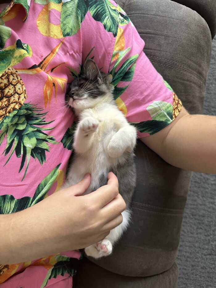 ¿Qué se siente al ser el último de la camada en ser adoptado?