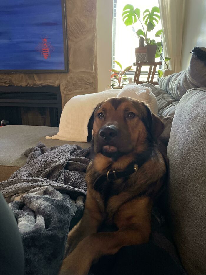 Newly Adopted, Already Derping