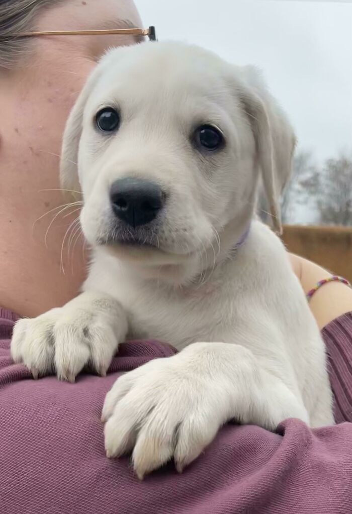 Our Rescue Girl Finally Made It To Her Forever Home!