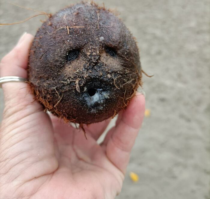 Interesting-Things-With-Faces