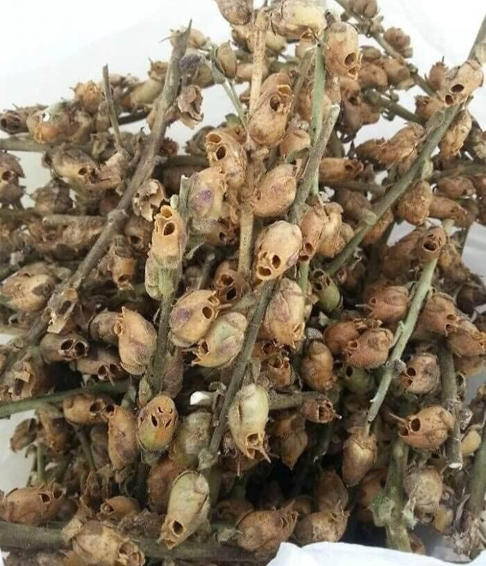 Interesting-Things-With-Faces