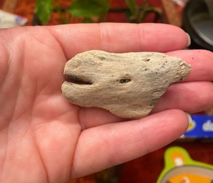 Interesting-Things-With-Faces