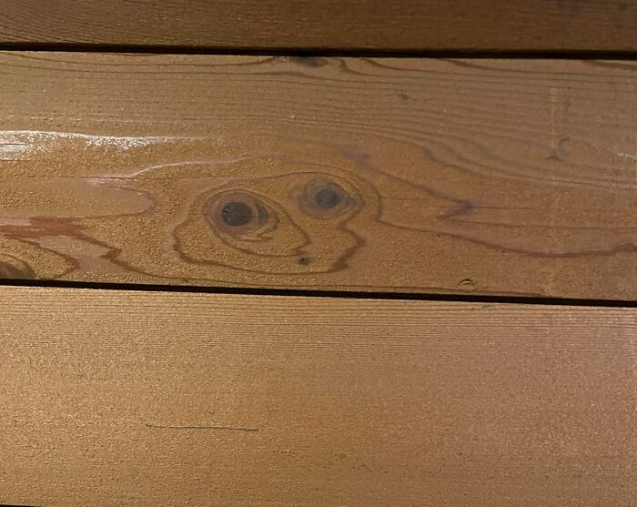 Interesting-Things-With-Faces