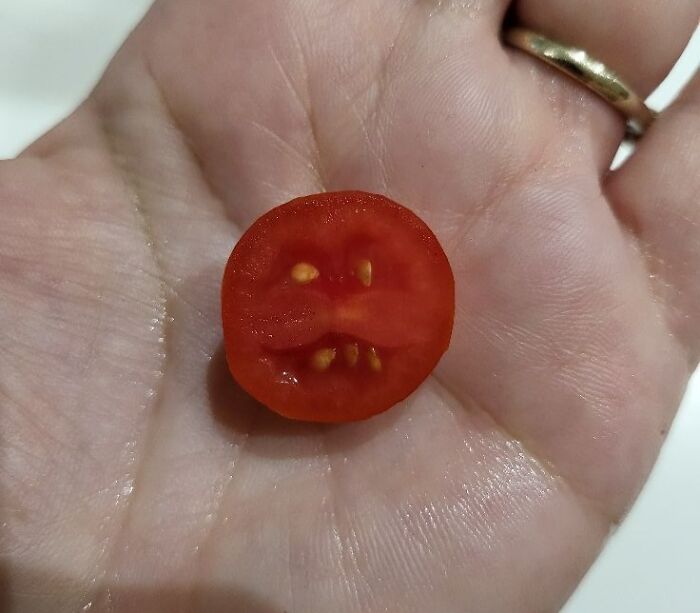 Interesting-Things-With-Faces