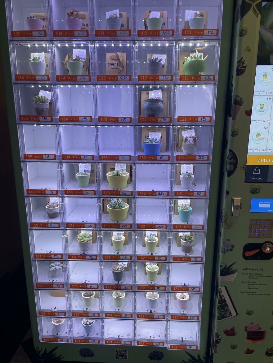 Succulent Vending Machine In A Nearby Mall