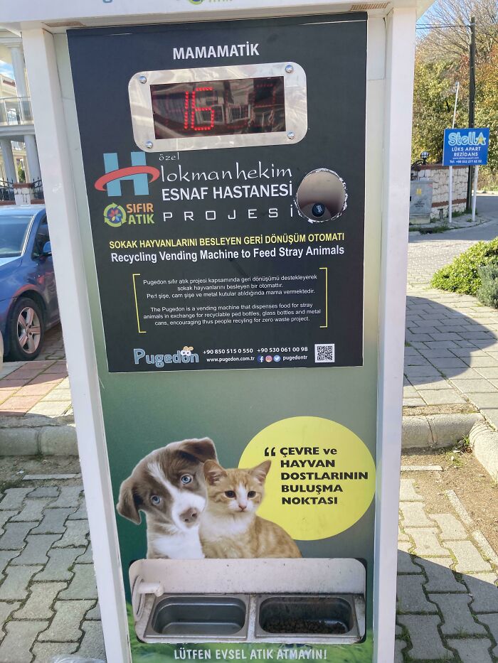 This Machine Dispenses Food For Stray Animals Whenever Items Are Recycled Into It