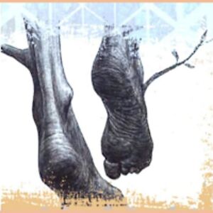 margiepankhurst avatar