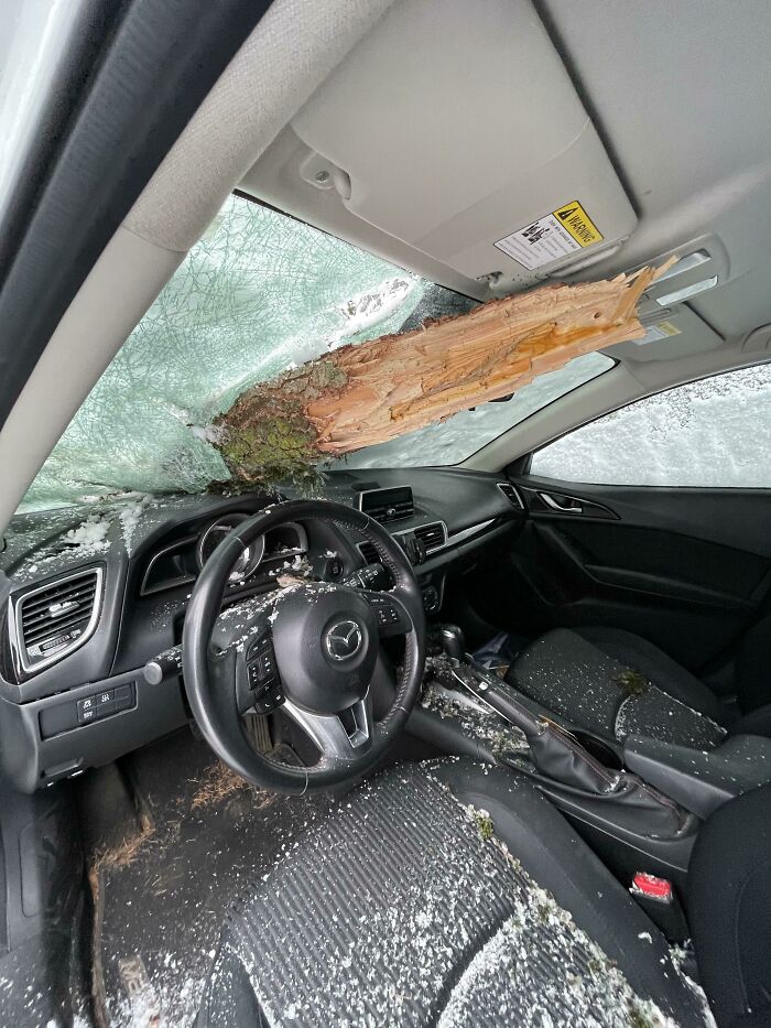 Glad I Didn’t Decide To Sit In My Car This Morning And Defrost It