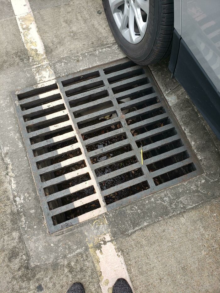 Dropped My Phone And Had A Huge "Whew" Moment When It Didn't Fall In. Drove Off, Realized My S Pen Is Missing 20 Minutes Later. Came Back And Couldn't Believe My Luck