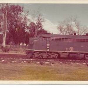 george_simmons avatar