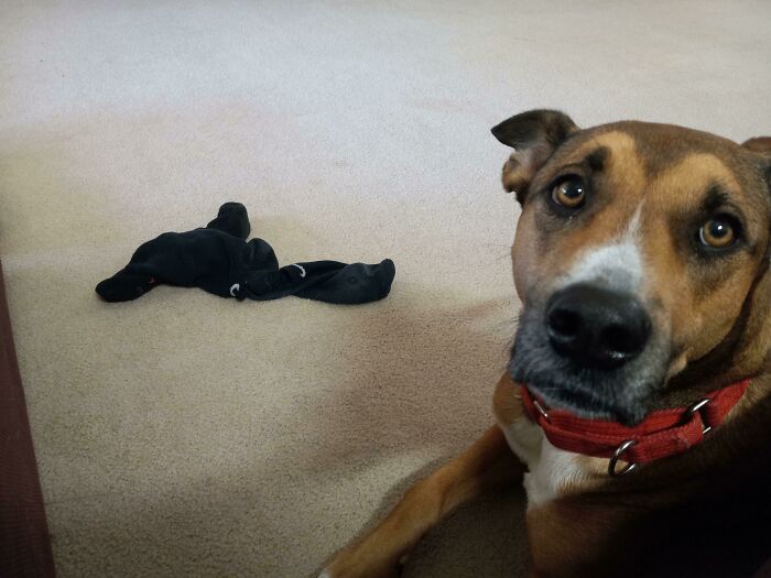 I Refuse To Pick Up My Fiance's Dirty Socks After Telling Him Earlier This Week That It Annoys Me When He Leaves His Shoes And Socks In The Middle Of The Floor