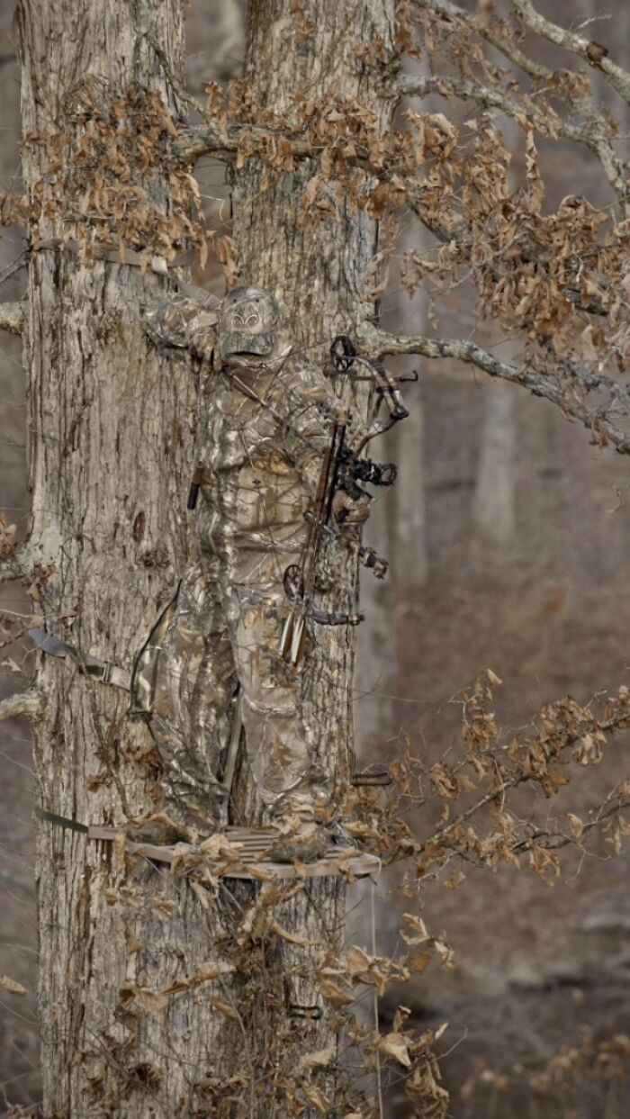 Hunter in camouflaged clothing blending into tree bark while holding a bow in a forest setting, showcasing perfect camouflage.