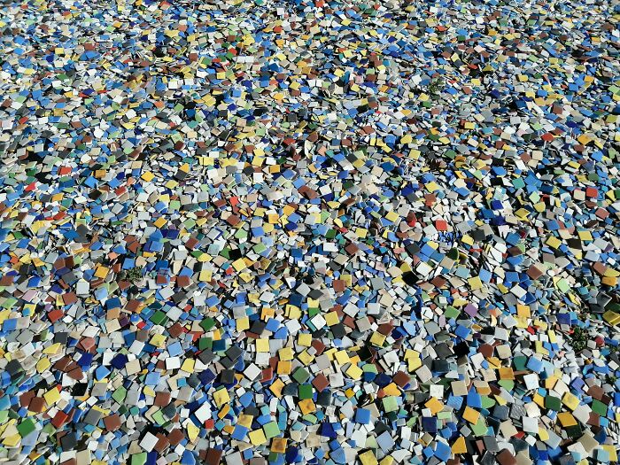 I Dropped My Snail. Please Help Me Find Him