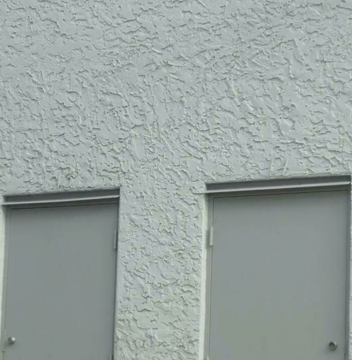 Two gray doors on a textured wall with a perfectly camouflaged lizard blending into the surface between them.