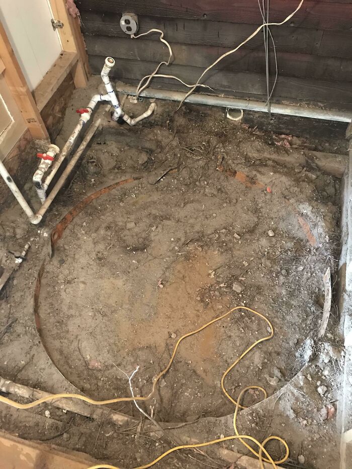 Find The Baby Rattlesnake!